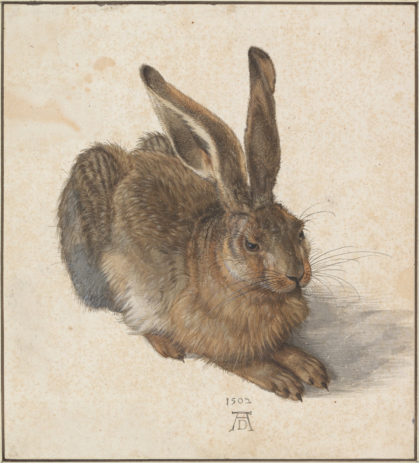 Albrecht+Durer-1471-1528 (97).jpg